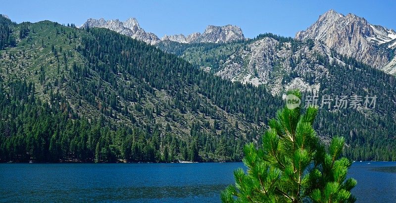 Toiyabe 国家森林禅宗